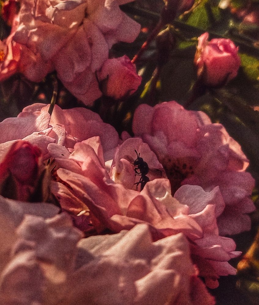 Photograph by Valerya Vasileva