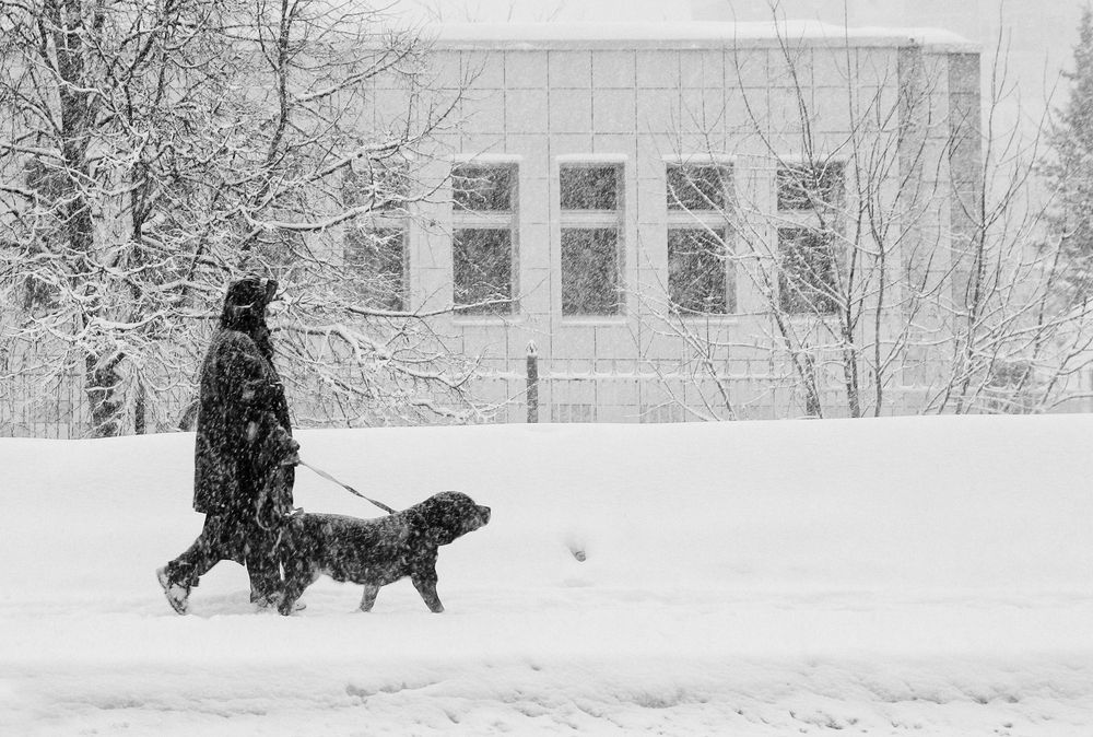 Фотография автора Елена Лаврова