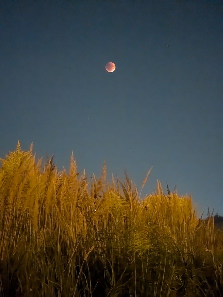 Photograph by Сергей Кулиев