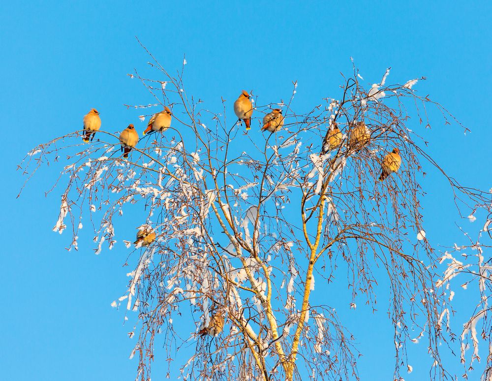 Photograph by Диана Бородзе