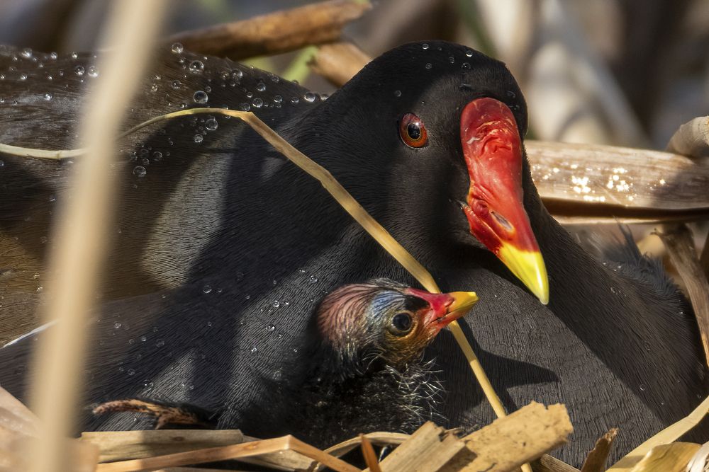 Photograph by Валерия Трейтяк