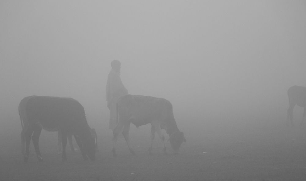 Фотография автора Mahir Anjum