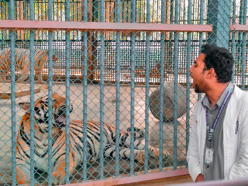 Фотография автора Mahir Anjum