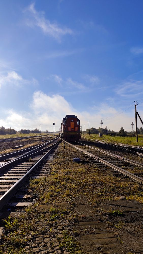 Фотография автора Татьяна Мишкина