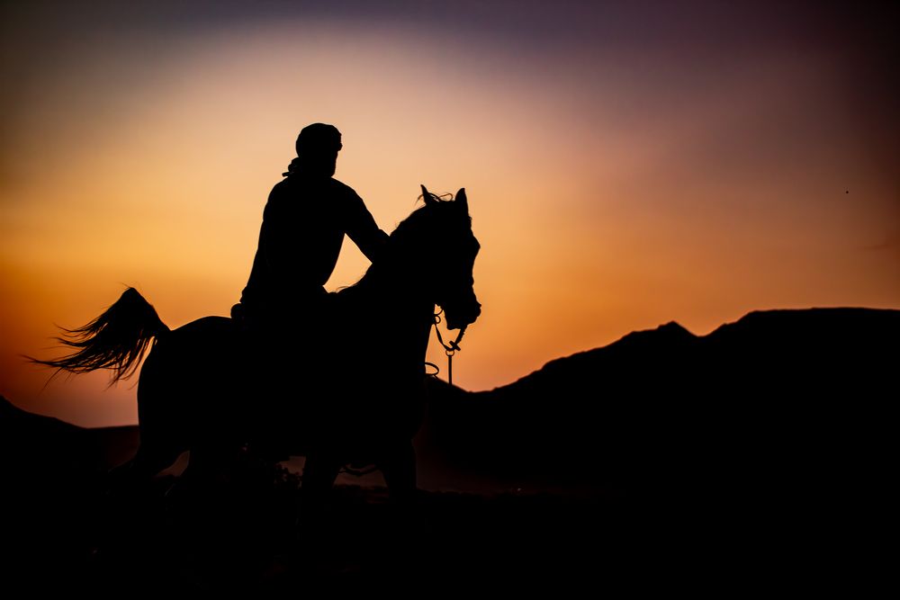 Фотография автора Sarrah Yehia