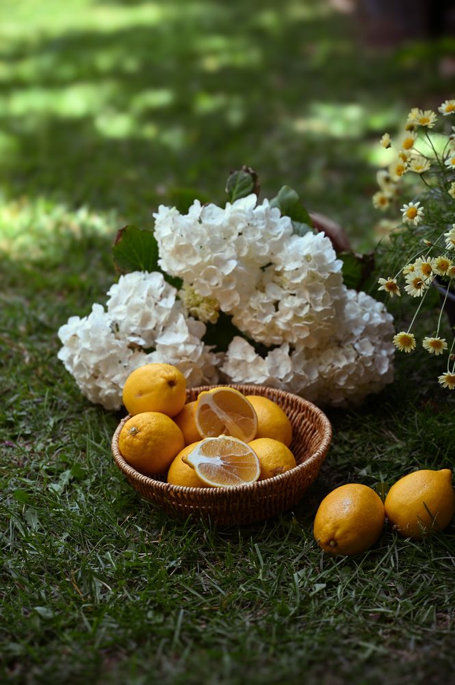 Photograph by Юлия