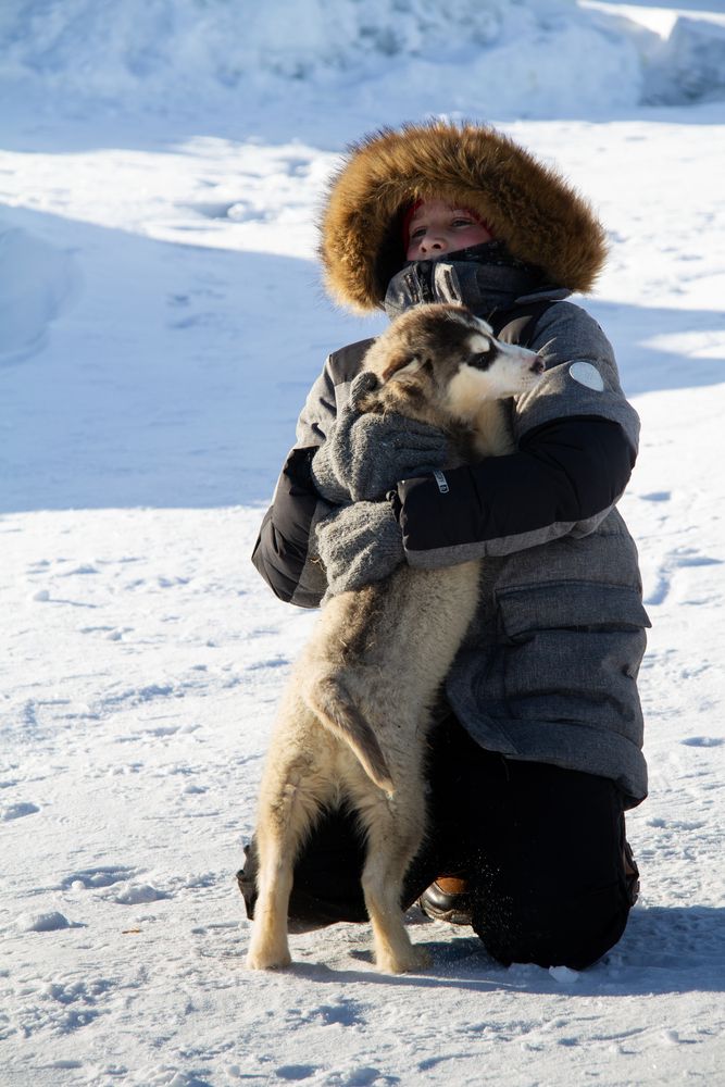 Photo #13154083
