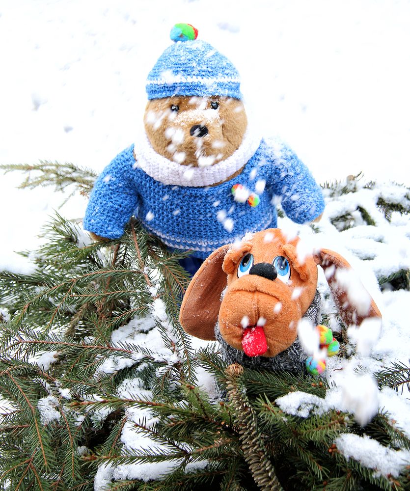 Фотография автора Елена Лаврова