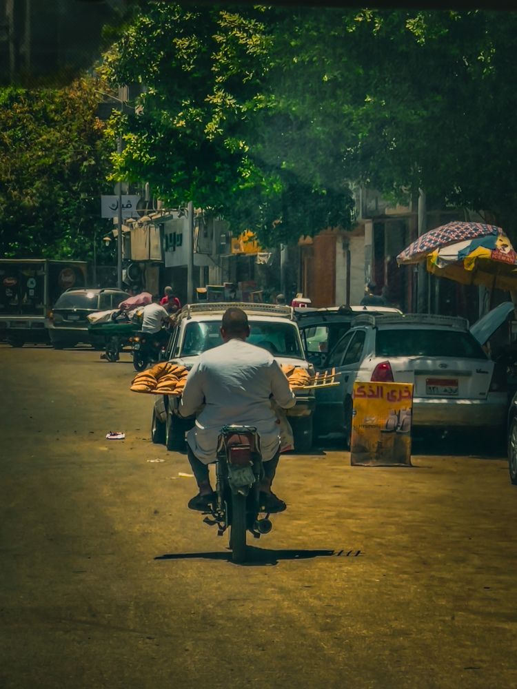 Фотография автора Sarrah Yehia