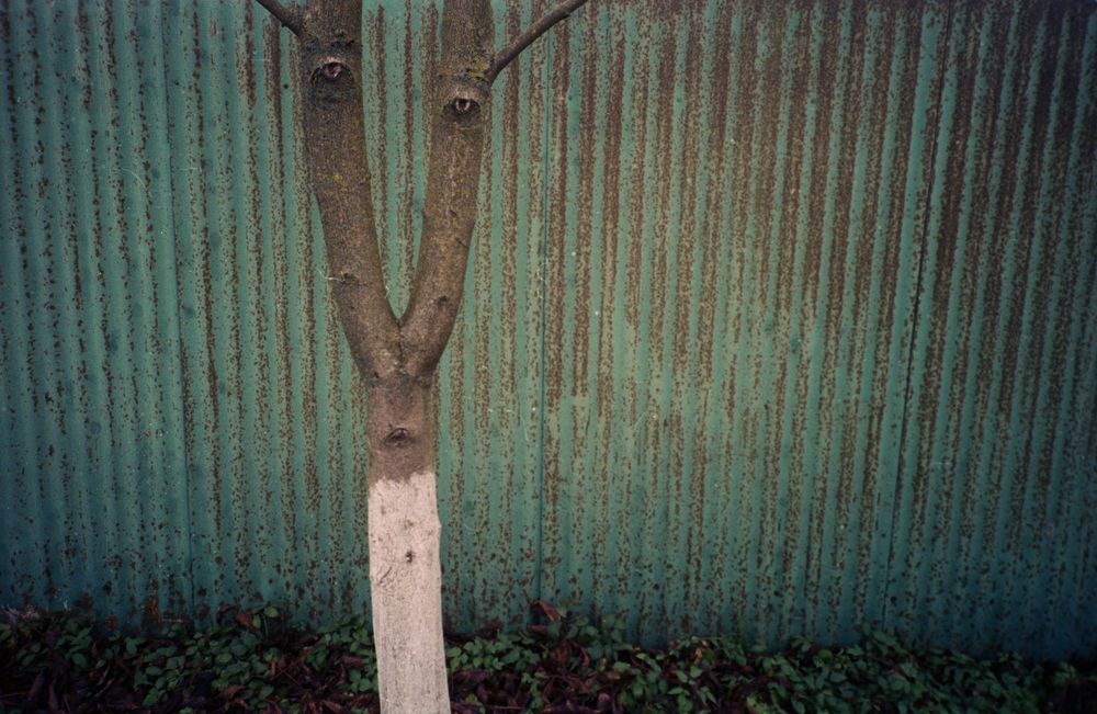 Photograph by Роман Бадусов