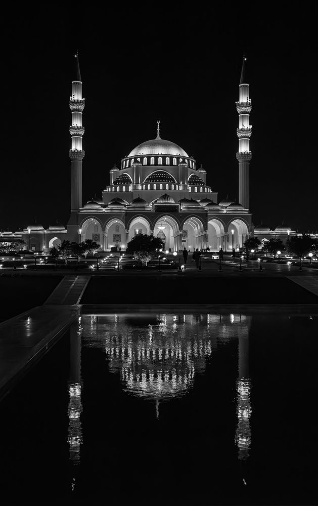 Фотография автора Sarrah Yehia