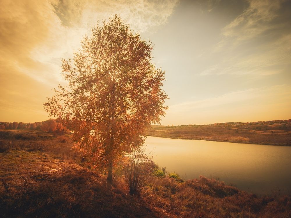 Photograph by Кирилл Сидоров