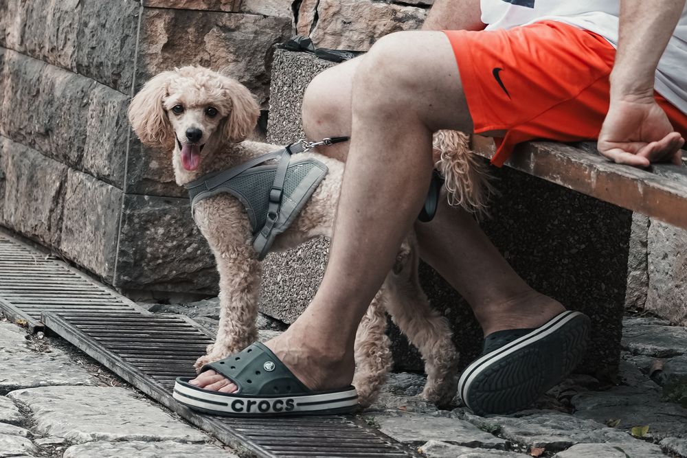 Photograph by Эльза Чанба