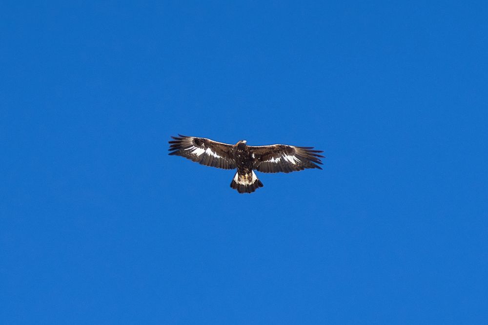 Photograph by Карпович Максим