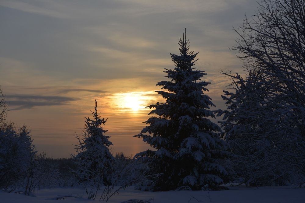 Photograph by Галина Катанова