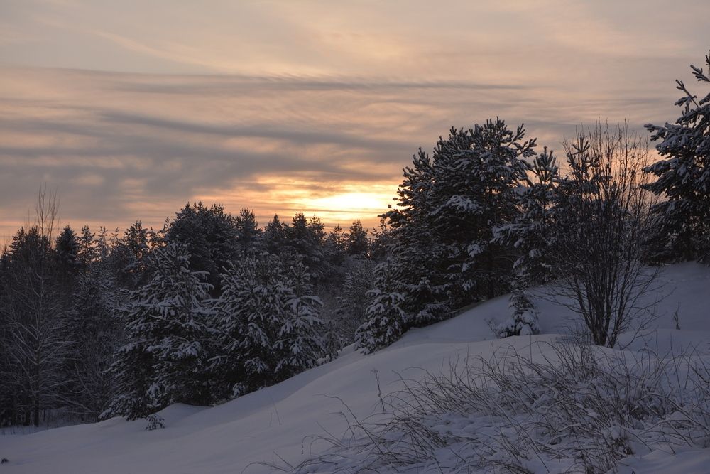 Photograph by Галина Катанова