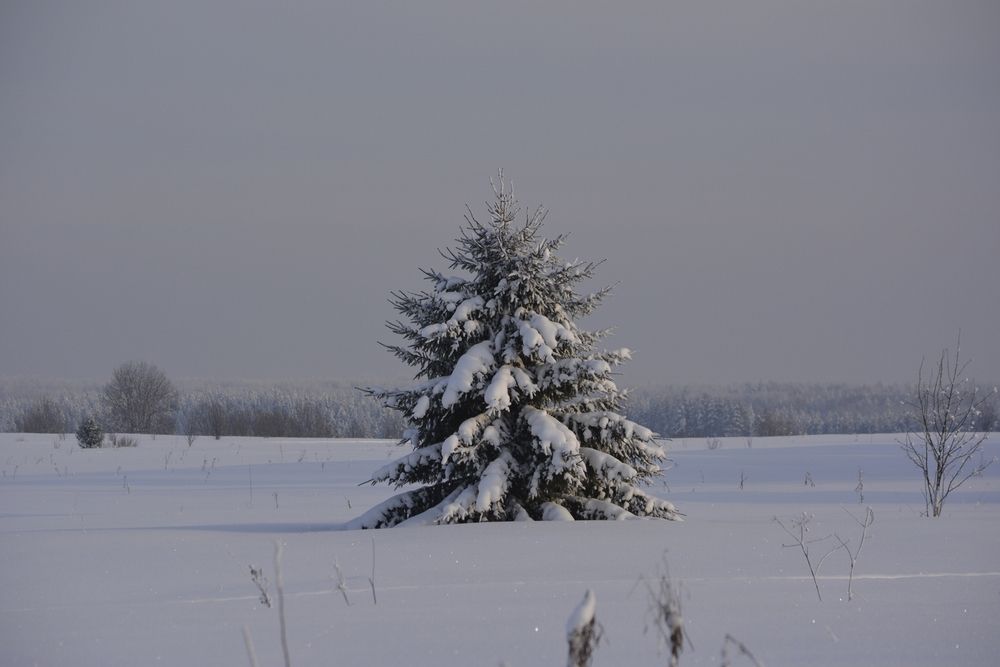 Photograph by Галина Катанова