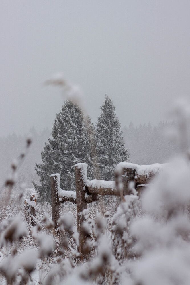 Photograph by Ольга