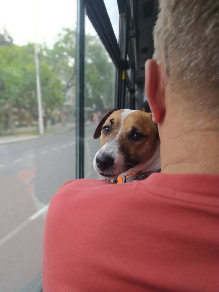 Photograph by Natalya Sedina