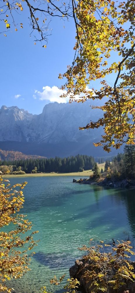 Photo #13154499
