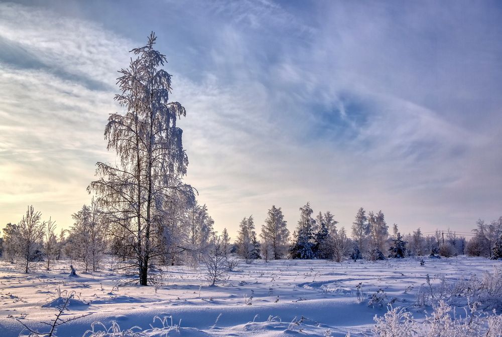 Фотография автора Андрей Хитров