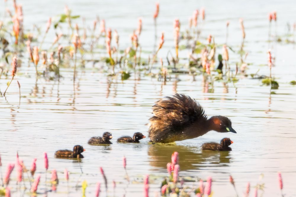 Photograph by Валерия Трейтяк