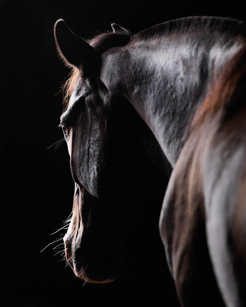 Photograph by Ariane G