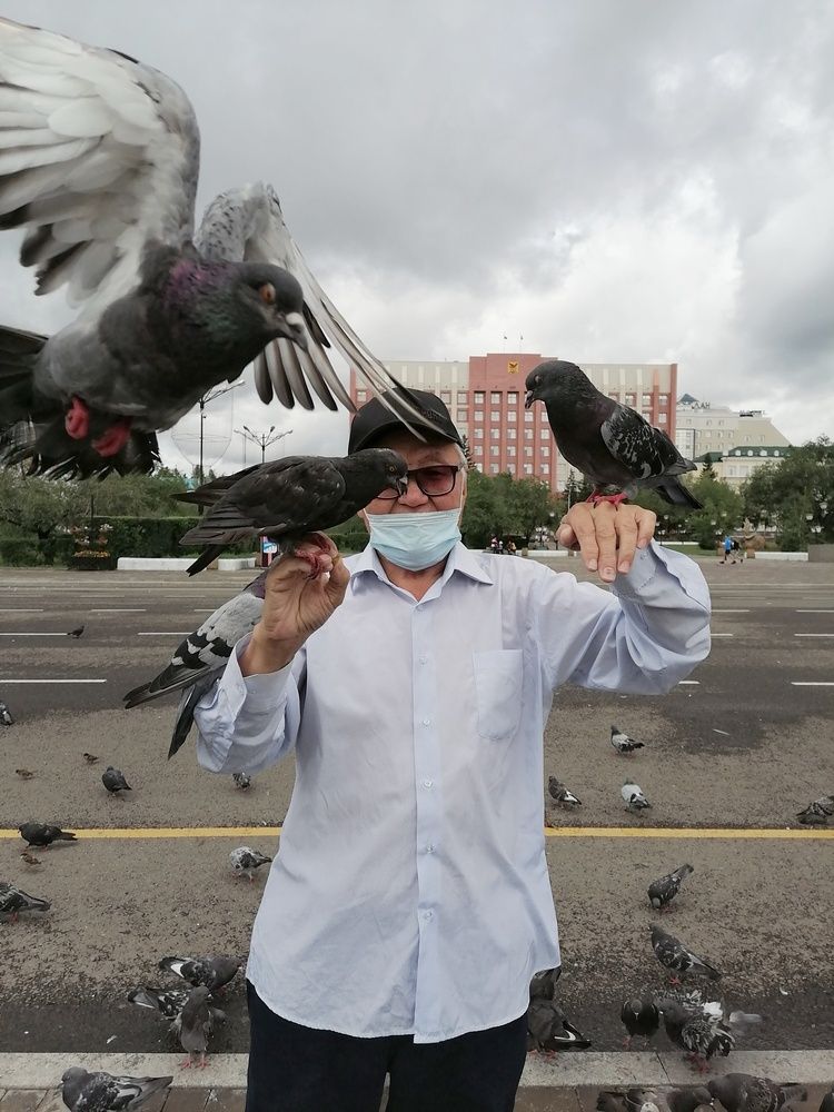 Человек голуби.