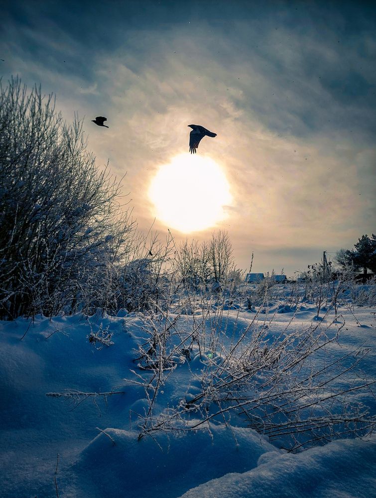 Photograph by Виталий Петров