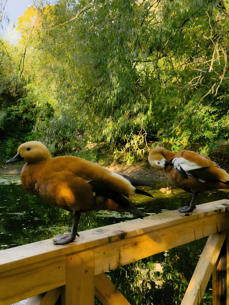 Photograph by Elizabeth Barkovskaya
