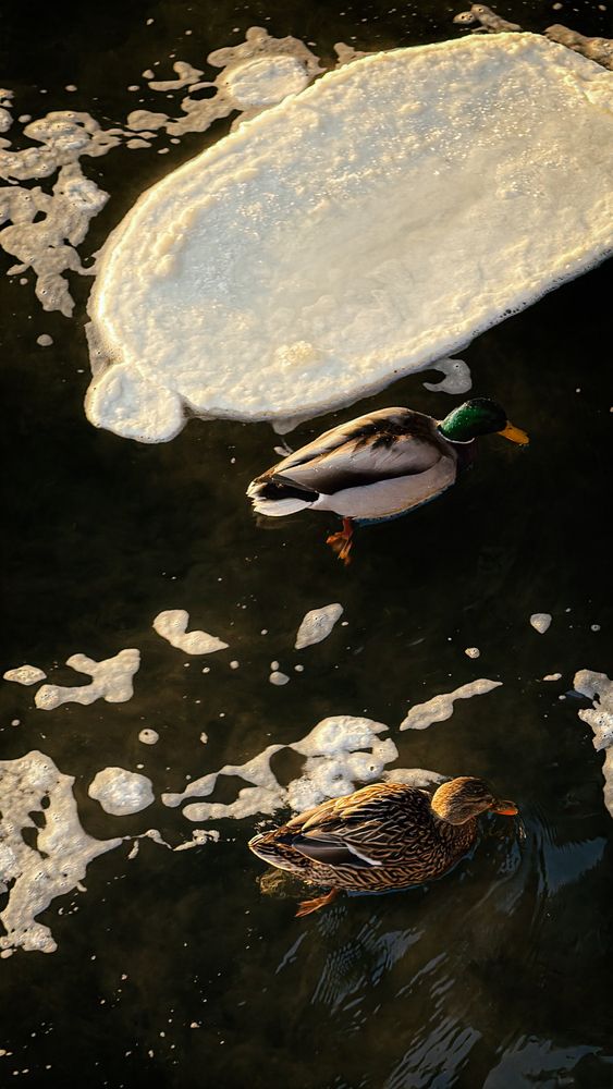 Photograph by Elizabeth Barkovskaya