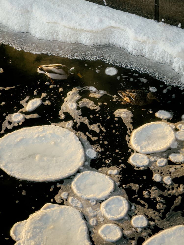 Photograph by Elizabeth Barkovskaya