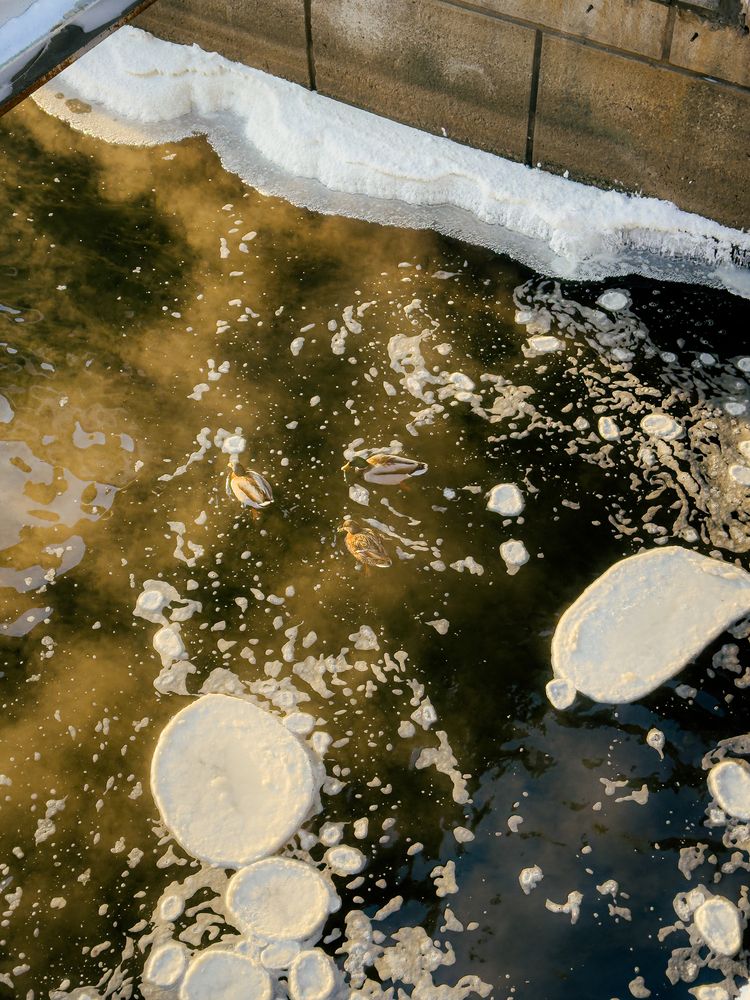 Photograph by Elizabeth Barkovskaya