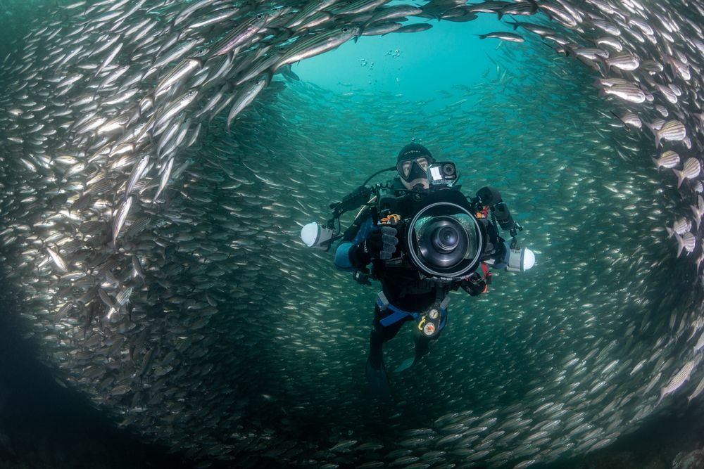 Фотография автора Fabi Fregonesi