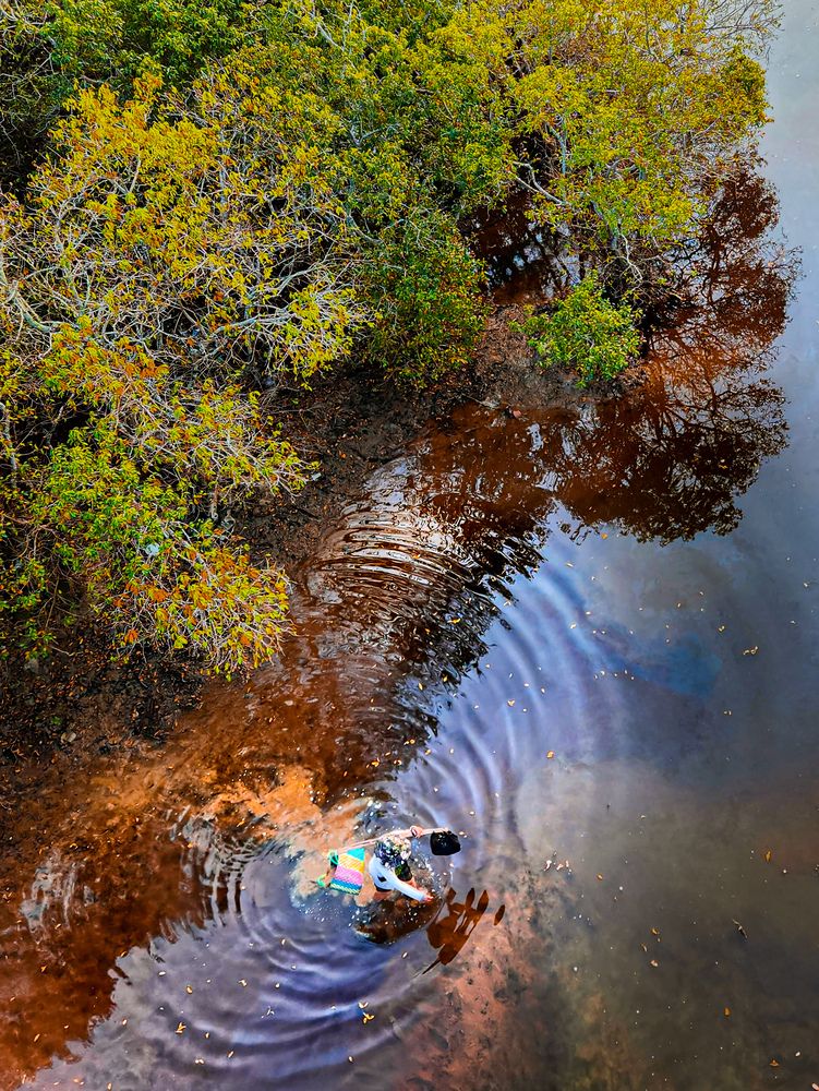 Photograph by Xuân Đạt Cao Nguyễn