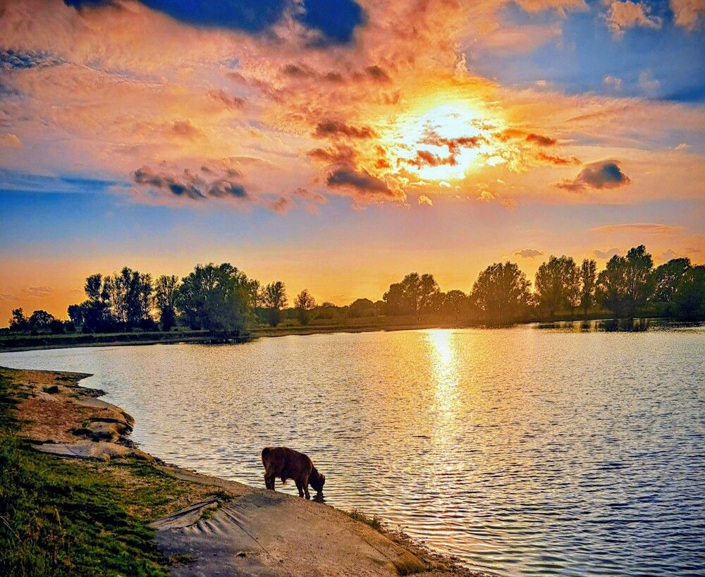 Photograph by Iris de Vos