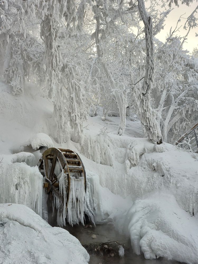 Photograph by Зинаида Савельева