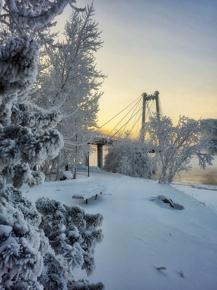 Фотография автора Зинаида Савельева
