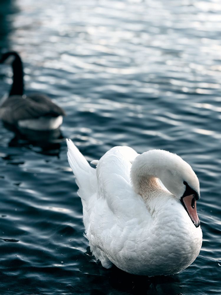 Photograph by Goutom Dey
