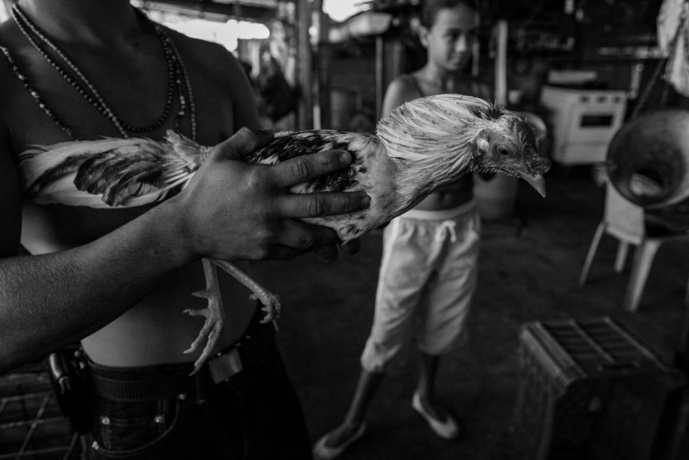 Photograph by Nicola Rocco