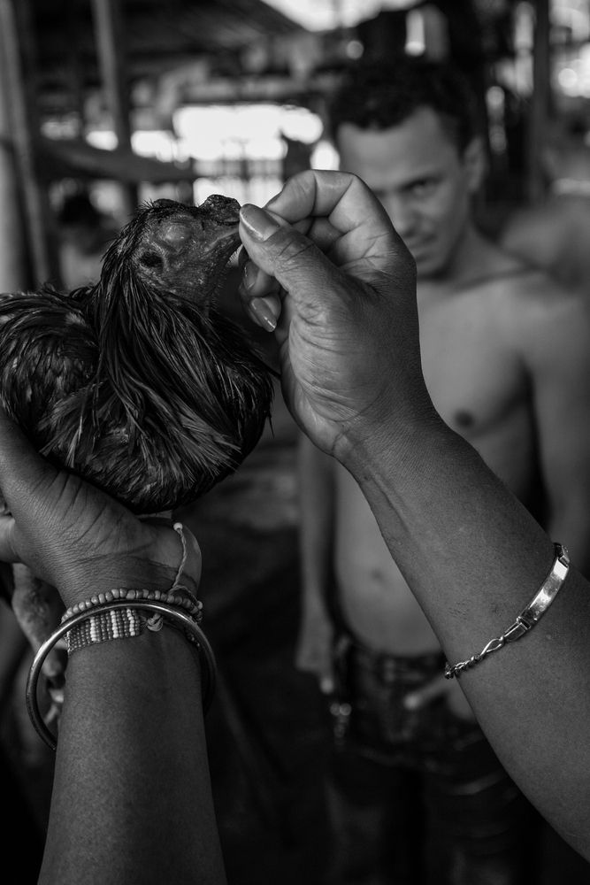 Photograph by Nicola Rocco