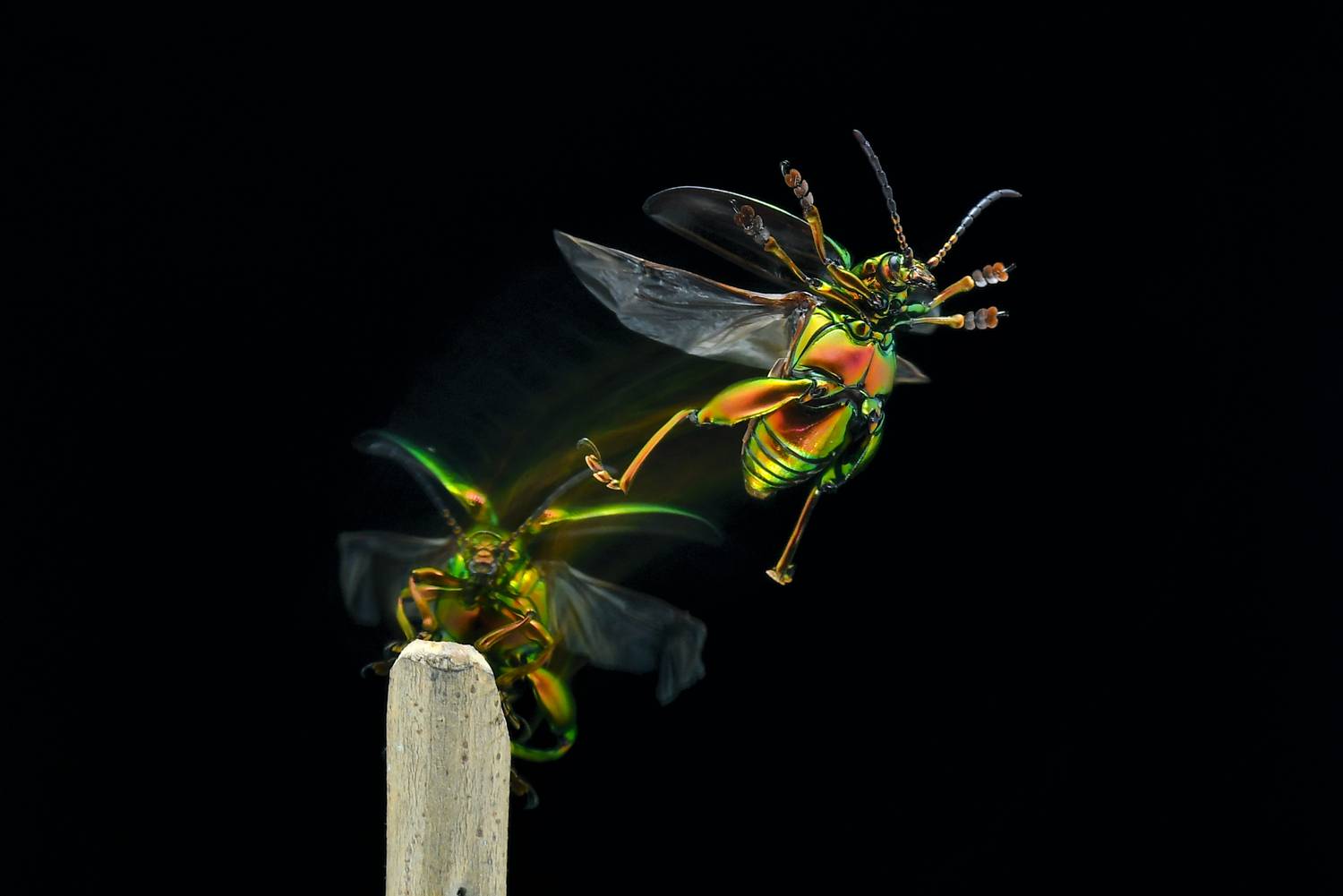 mengapai mimpi mengapai mimpi