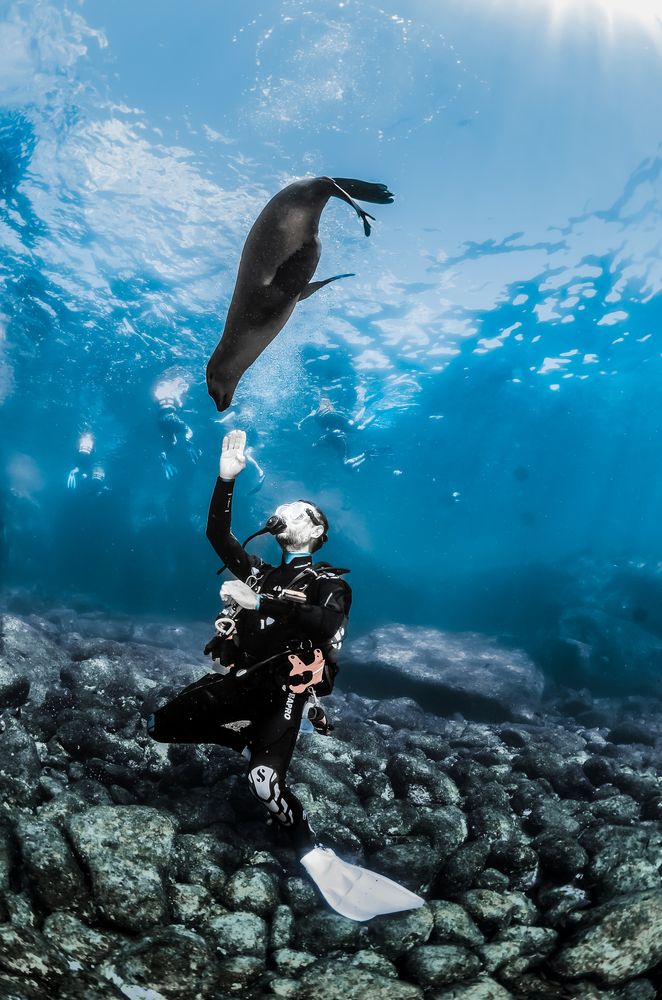 Photograph by ANTONIO RUVER BANDEIRA