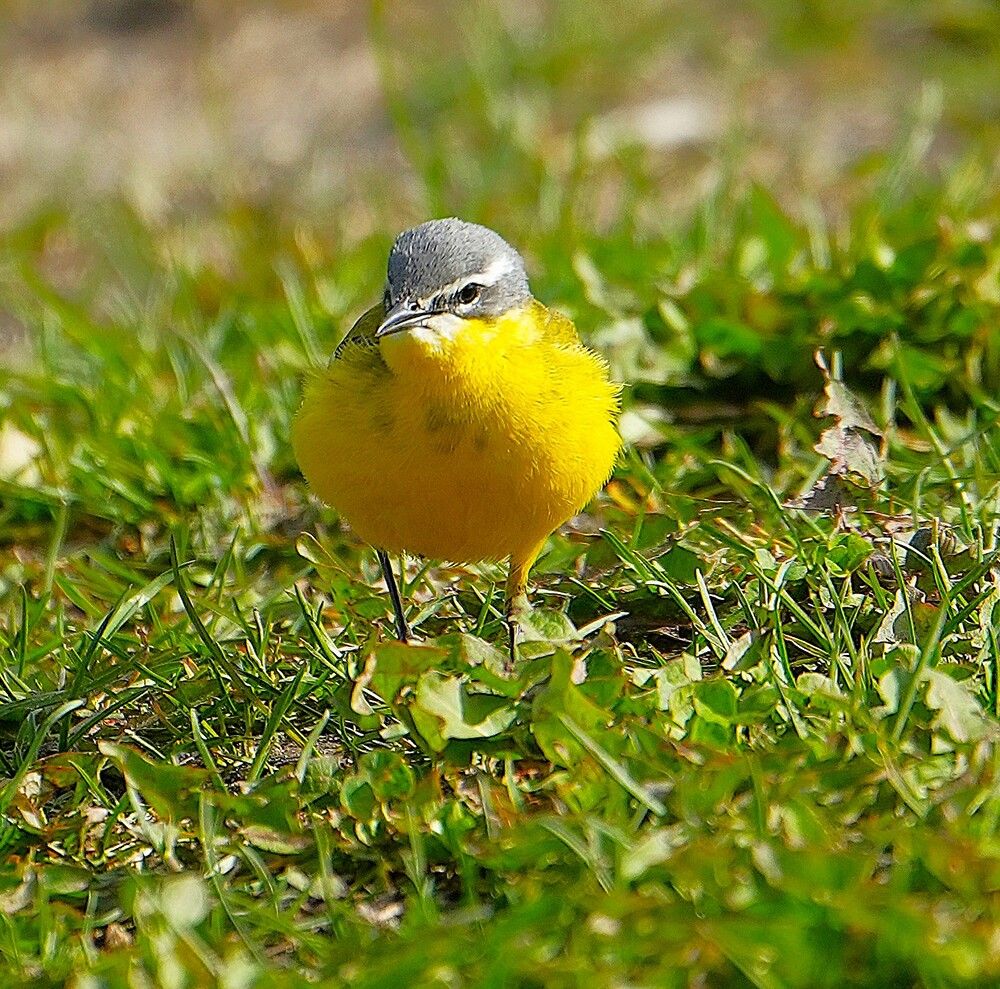 Photograph by Михаил Трусов