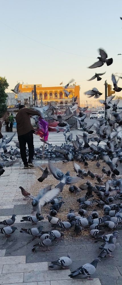 Photograph by Shaiban photography