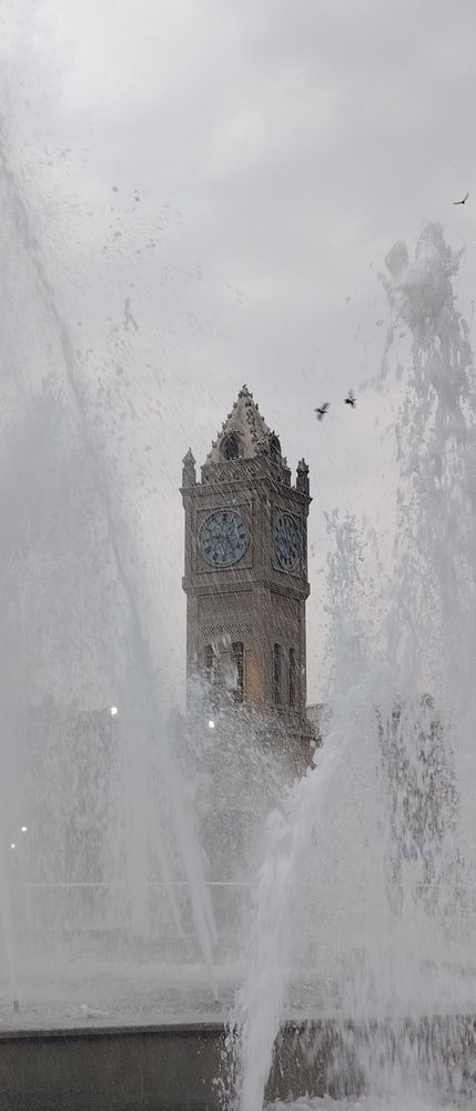 Photograph by Shaiban photography