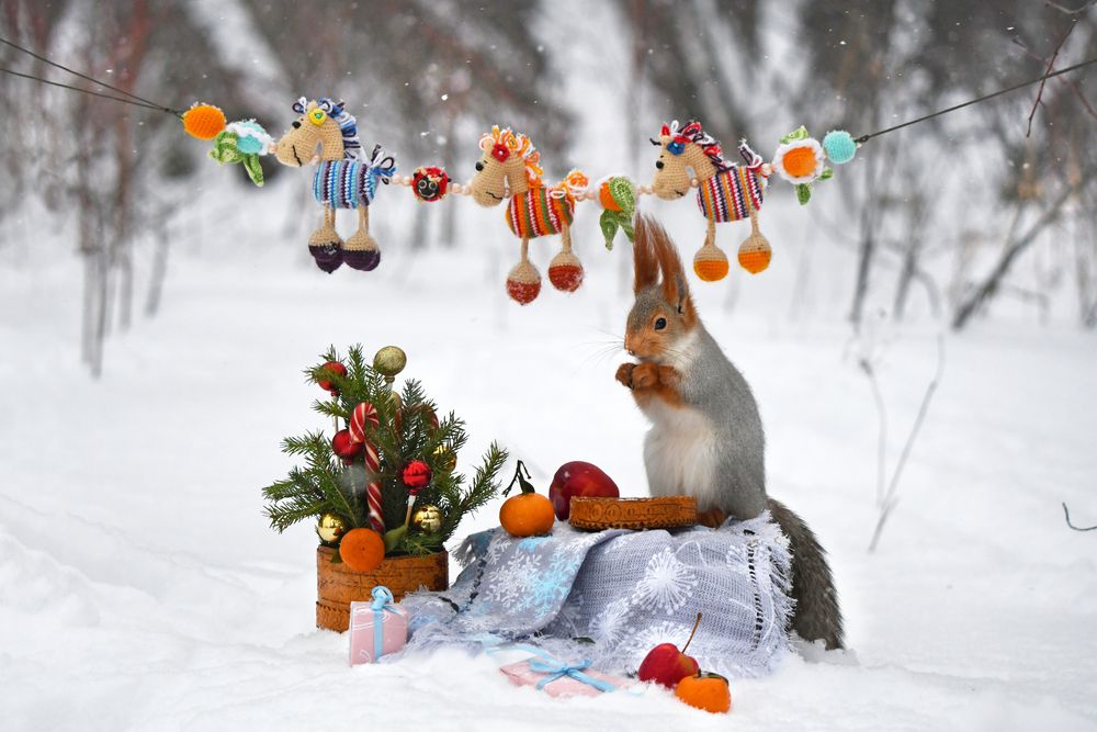 Навогоднее настроение