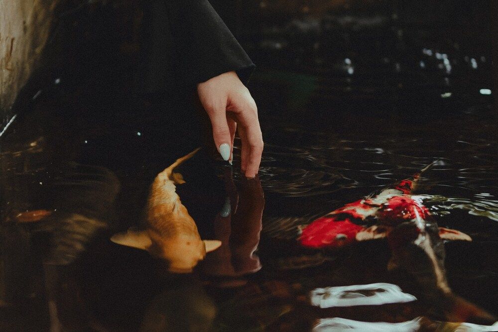 Photograph by Ульяна Сиденко