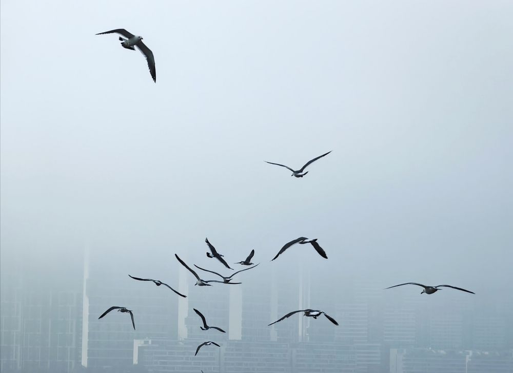 Photograph by Игорь Крыжко