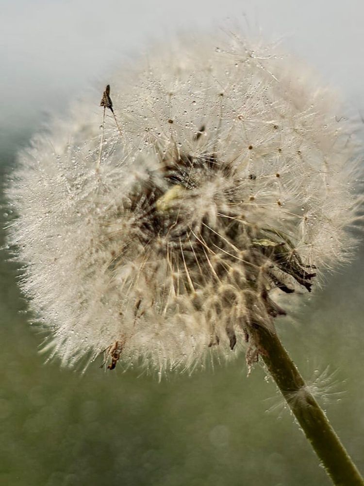 Photograph by Ольга Лукьянова